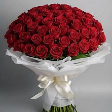 Букет 101 Красная роза Блэк Мэджик в Перевицкий Торжок