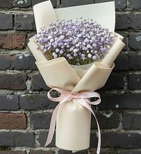 Букет цветов из:  Гипсофила в Перевицкий Торжок