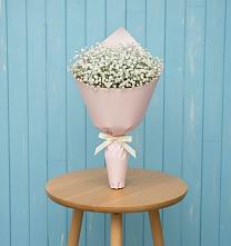 Букет цветов из:  Гипсофила в Перевицкий Торжок