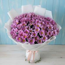 Букет цветов из:  Хризантемы в Перевицкий Торжок