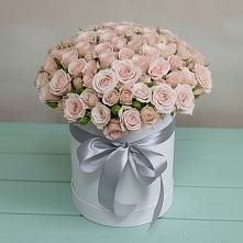 Цветочная композиция из Розы в шляпной коробке #REPLACE_PRED# Перевицкий Торжок