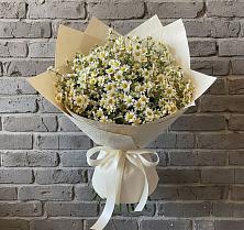 Букет цветов из:  Ромашки #REPLACE_PRED# Перевицкий Торжок