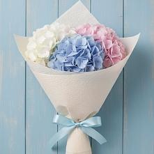 Букет цветов из:  Гортензия в Перевицкий Торжок
