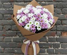 Букет цветов из:  Хризантемы в Перевицкий Торжок