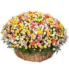 Премиум букет из: Розы #REPLACE_PRED# Перевицкий Торжок