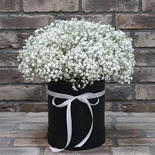 Цветочная композиция из Гипсофила в шляпной коробке #REPLACE_PRED# Перевицкий Торжок