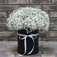 Цветочная композиция из Гипсофила в шляпной коробке в Перевицкий Торжок