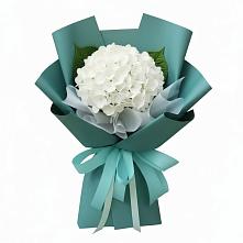 Букет цветов из:  Гортензия в Перевицкий Торжок